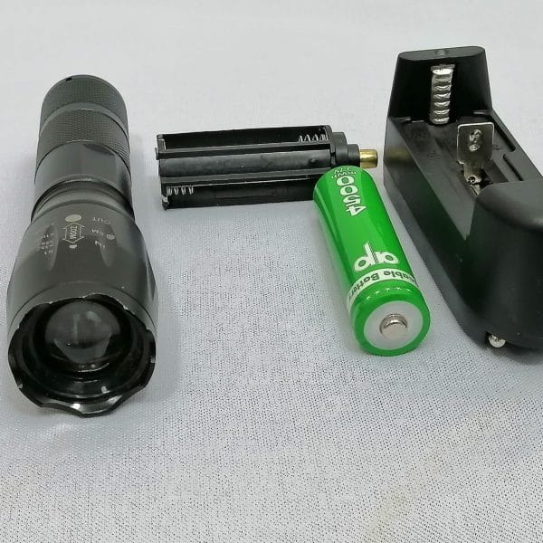 LED light torch